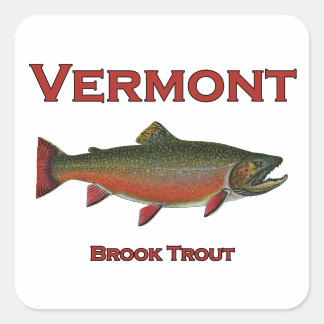 Adesivo Quadrado Pesca Vermont - Truta Brook (Frente)