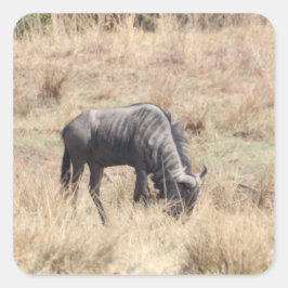 Adesivo Quadrado Pescado selvagem azul no mato africano