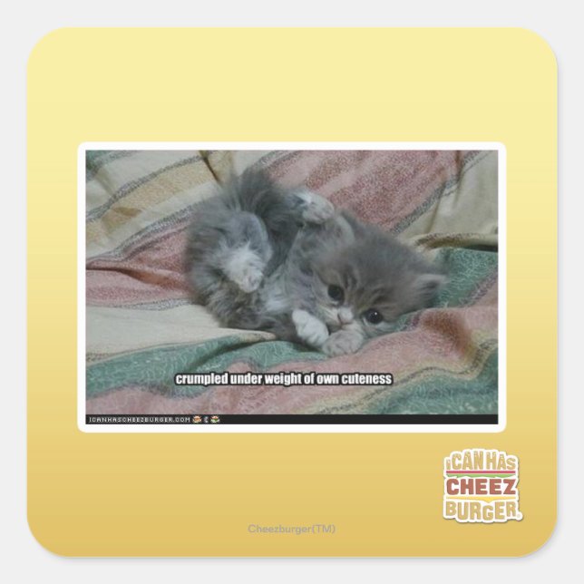 Adesivo Quadrado Peso da própria beleza (Frente)