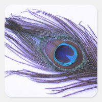 Pêssego Roxo