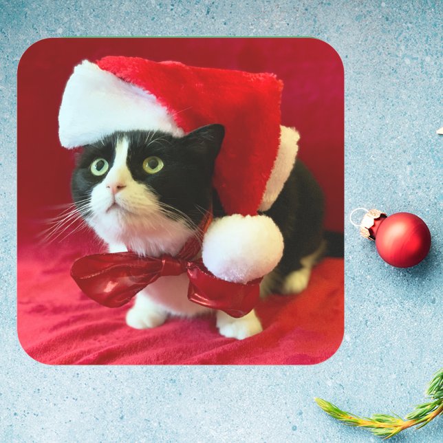 Adesivo Quadrado Pêssegos com os palitos de Natal de Tuxedo Cat (Criador carregado)