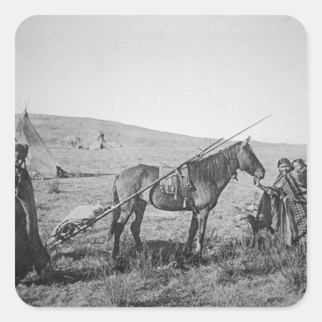 Adesivo Quadrado Pessoas nativas americanas de árvores ocidentais d (Frente)