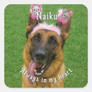 Adesivo Quadrado Pet Memorial Photo Sticker