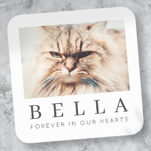 Adesivo Quadrado Pet Memorial Simple Modern Chic Family Photo