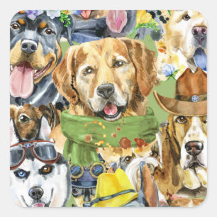 Adesivo Quadrado Pet Pets de Cães