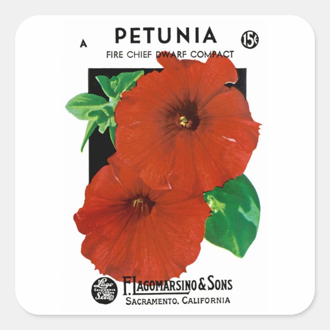 Adesivo Quadrado Petunia (Frente)
