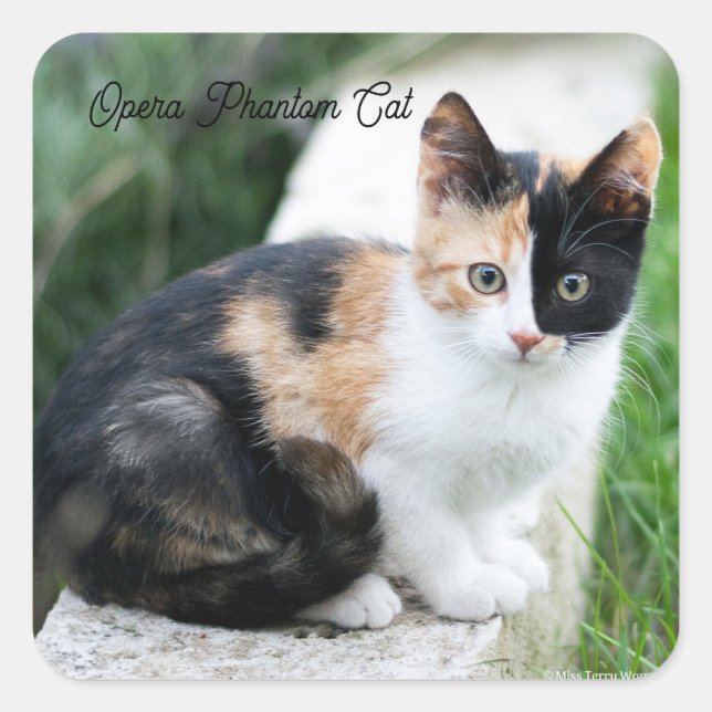 Adesivo Quadrado Phantom Ópera Cat (Frente)