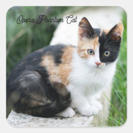 Adesivo Quadrado Phantom Opera Cat