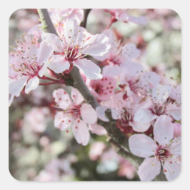 Adesivo Quadrado Pia Brilhante, Cola Vermelha.