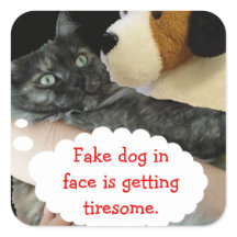 Picante de Cat Relaxado por RoseWrites