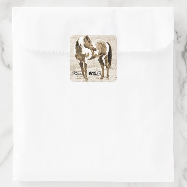 Adesivo Quadrado Picasso Paint Horse Western Stickers (Bolsa)