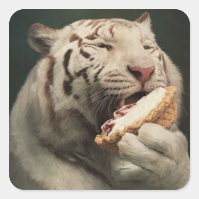 Adesivo Quadrado Pie-Loving White Tiger – Fun Sticker (Frente)