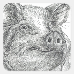 Adesivo Quadrado Piglet
