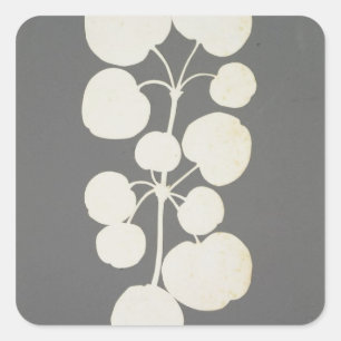 Adesivo Quadrado Pimenta de caiena