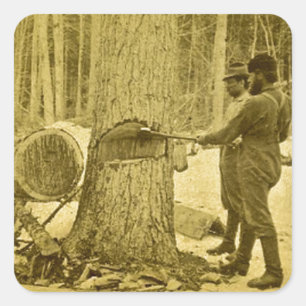 Adesivo Quadrado Pineries de irmãos Saginaw MI de Michigan