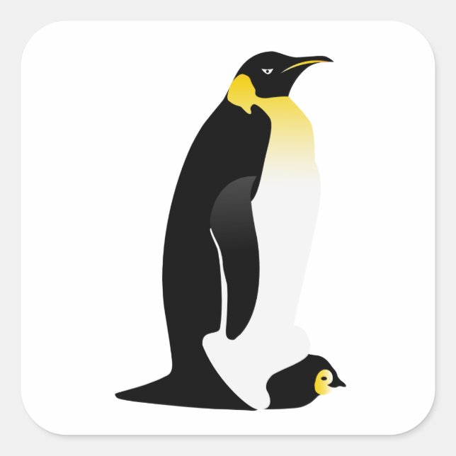 Adesivo Quadrado Pinguim com seu bebê (Frente)