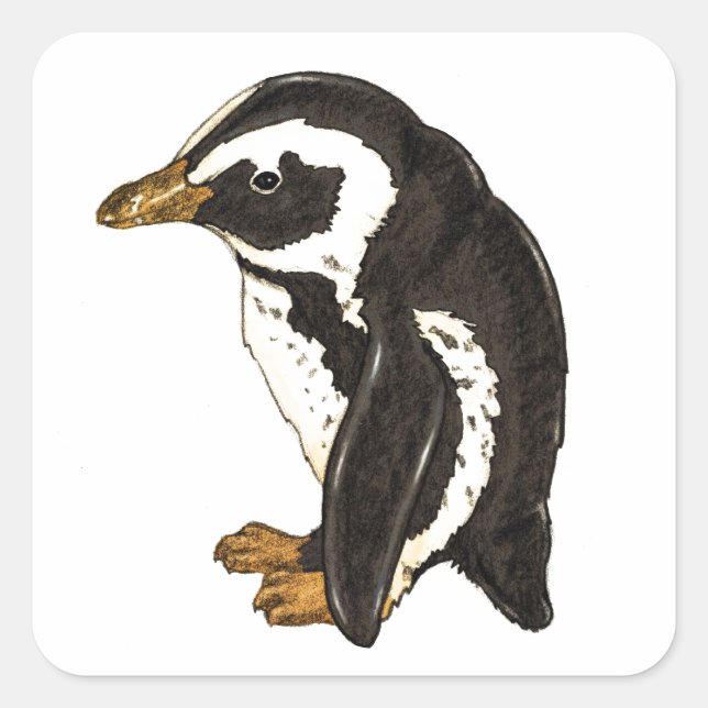 Adesivo Quadrado Pinguim de Liesel Bendio Potter (Frente)