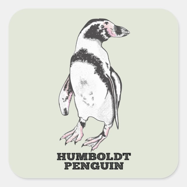 Adesivo Quadrado Pinguim Humboldt (Frente)