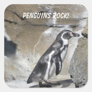 Adesivo Quadrado Pinguim Legal