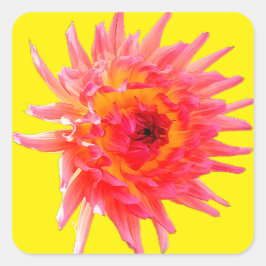 Adesivo Quadrado Pink and yellow flower