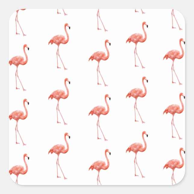 Adesivo Quadrado Pink Flamingo Patterno Feminino (Frente)