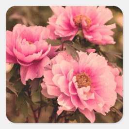 Adesivo Quadrado Pink  Peony Flower