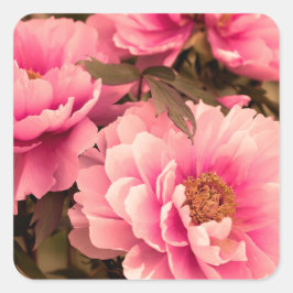 Adesivo Quadrado Pink  Peony Flower