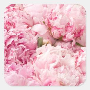 Adesivo Quadrado Pink Peony Wedkers
