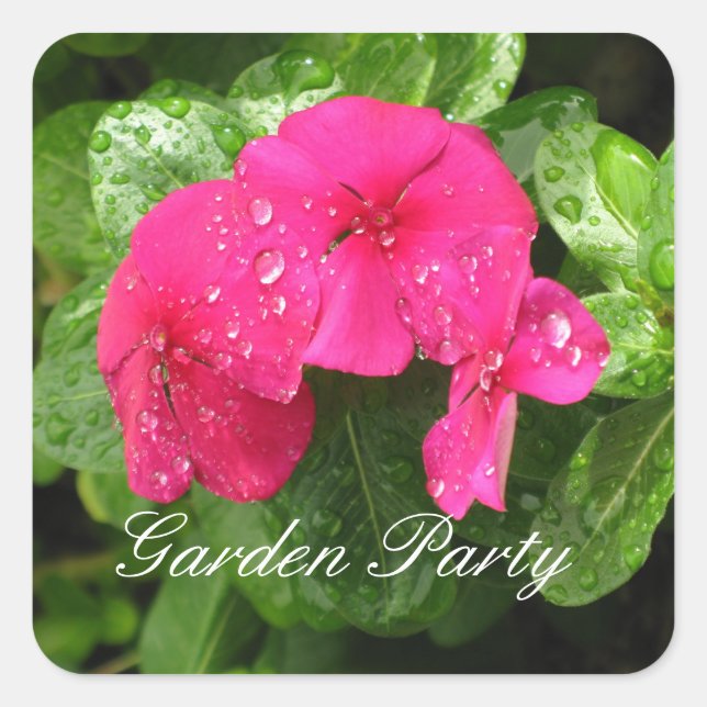 Adesivo Quadrado Pink Periwinkle - Vinhetas do Garden Party (Frente)