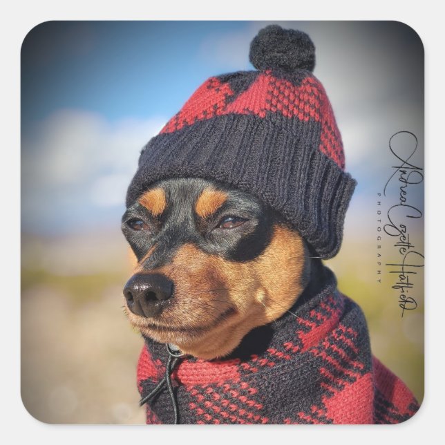 Adesivo Quadrado Pino Min Inverno (Frente)