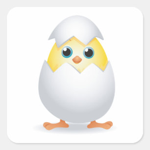 Adesivo Quadrado Pinto Amarelo de Frango Bebê Eclodindo na Casca do