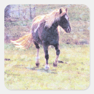 Adesivo Quadrado Pinto Pony