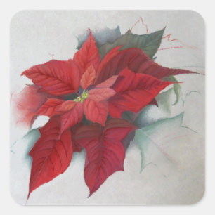 Adesivo Quadrado Pintura a óleo do Natal da poinsétia