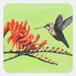 Adesivo Quadrado Pintura de Beija-flor e Crocosmia