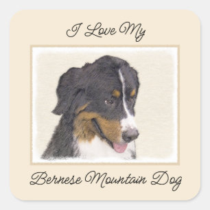 Adesivo Quadrado Pintura de Cachorro de Montanha Bernese - Arte Ori