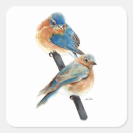 Adesivo Quadrado Pintura de Casal Bluebird