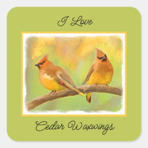 Adesivo Quadrado Pintura De Cedar Waxwing - Arte De Cachorro Origin