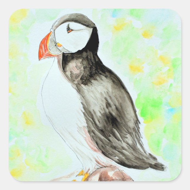 Adesivo Quadrado Pintura de Puffin e de Aquarela (Frente)