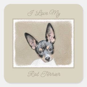 Adesivo Quadrado Pintura de Rat Terrier - Praça de Arte de Cachorro