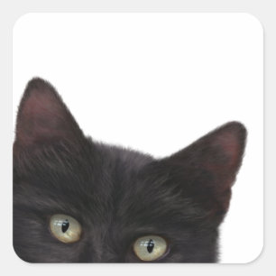 Adesivo Quadrado Pintura digital de Gatinho curiosa