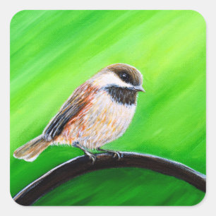 Adesivo Quadrado Pintura em Chickadee Amiga
