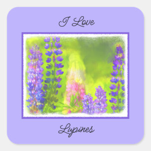 Adesivo Quadrado Pintura em Lupine - Arte Flor Original