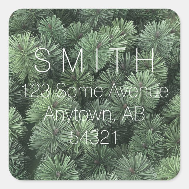 Adesivo Quadrado Placas de pinheiro Agulhas de árvores verdes e ver (Frente)