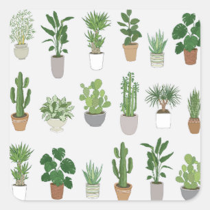 Adesivo Quadrado Plantas caseiras, padrão de rabisco de vintage