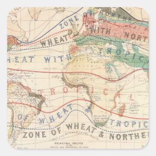 Adesivo Quadrado Plantas da distribuição