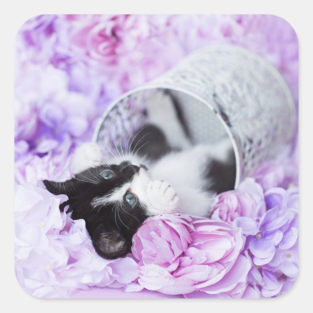 Adesivo Quadrado Play "Pippa" Purple Floral (Frente)