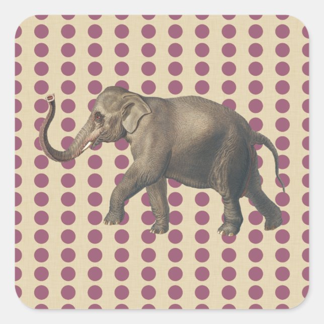 Adesivo Quadrado Plum Spice Moods Dots com Elefante (Frente)