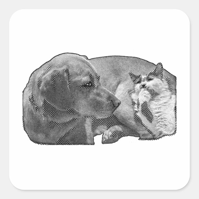 Adesivo Quadrado Pocket Ceasefire (Frente)