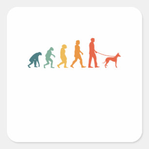 Adesivo Quadrado Podenco Evolution Retro Ibizan Hound Vintage