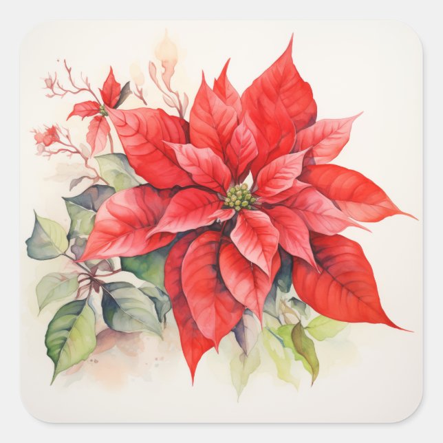 Adesivo Quadrado Poinsettia (Frente)
